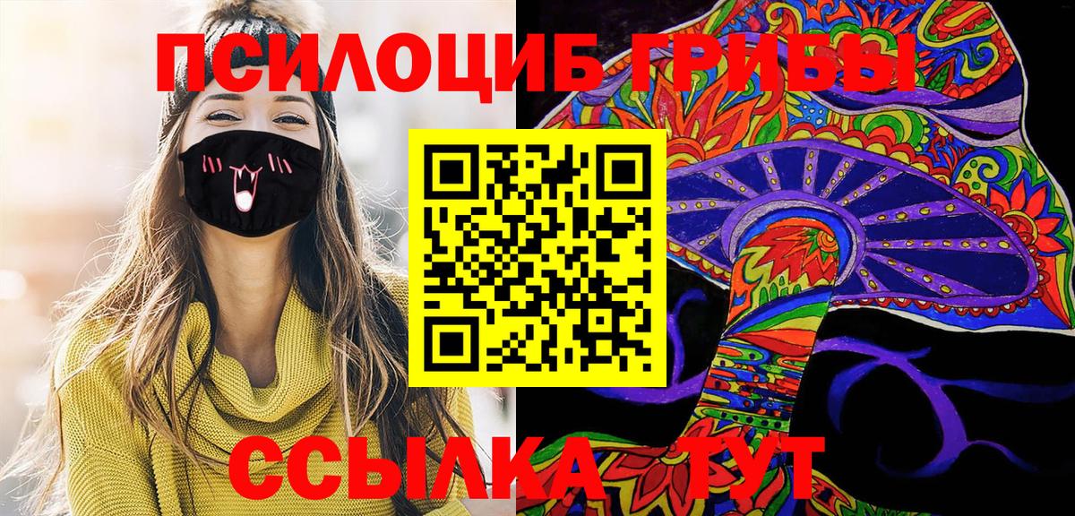 что такое   Мегион  Галлюциногенные грибы Cubensis 