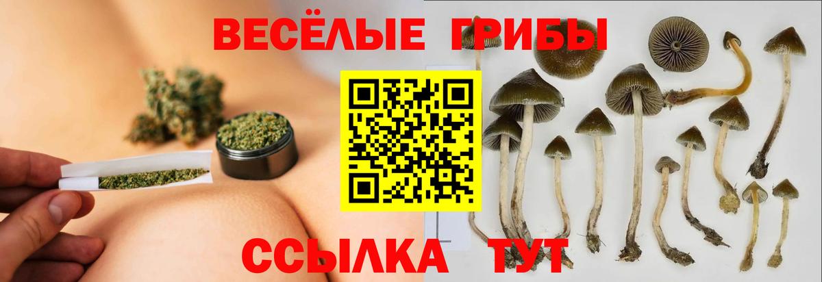 Галлюциногенные грибы GOLDEN TEACHER Мегион